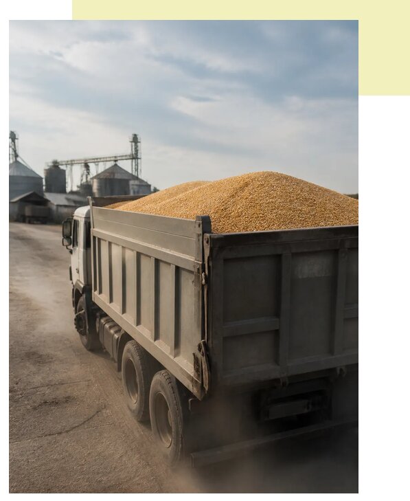 Перевозка сельхозпродукции навалом в Урай по цене от 3126 р. | Агросервис-Урй